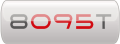 8095T